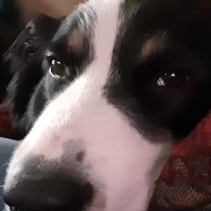 Meet your Posher, Tracey